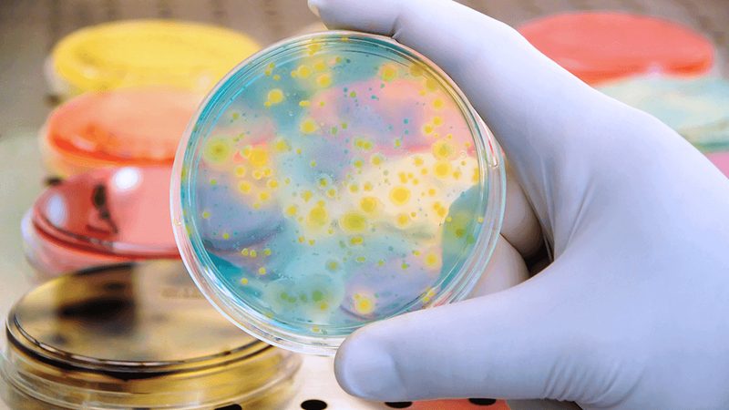 研发与生产一体化：生物科技公司如何打造核心竞争力**