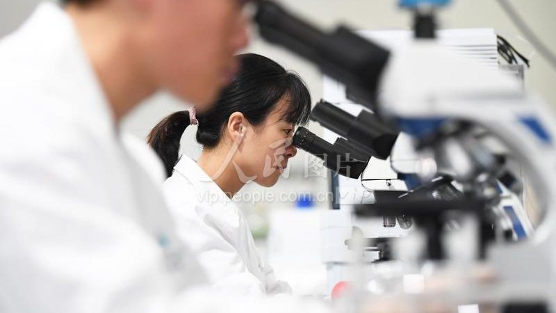 细胞工厂参数选择：揭秘高效生产的秘密