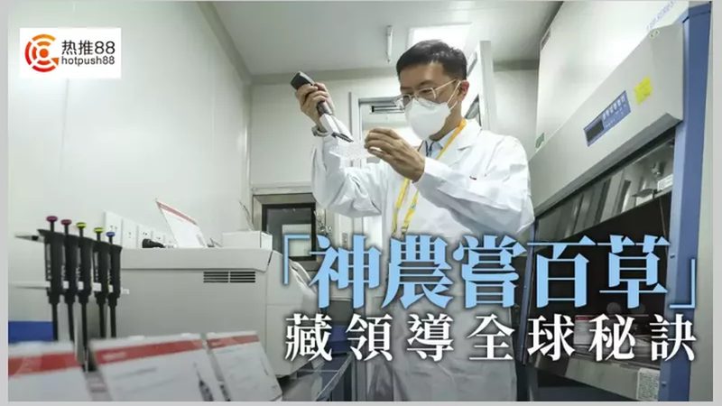 常规PCR酶：揭秘十大品牌背后的技术奥秘