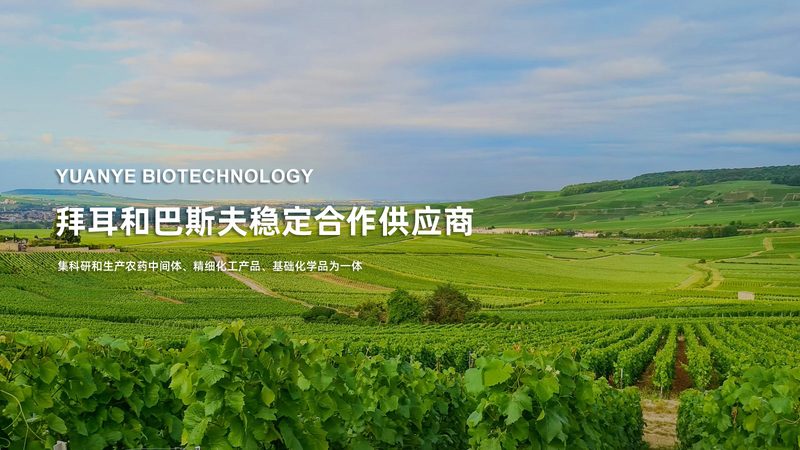 上海生物科技公司注册流程全解析