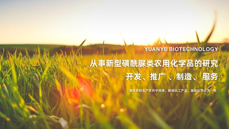 生物试剂耗材区别对比表