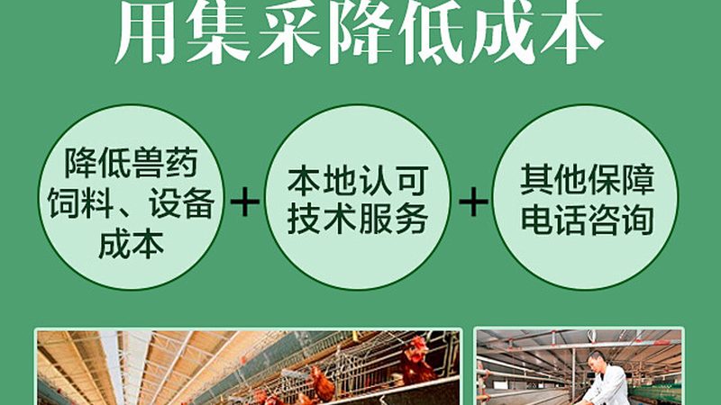 科研引物合成，如何选择靠谱的供应商？**