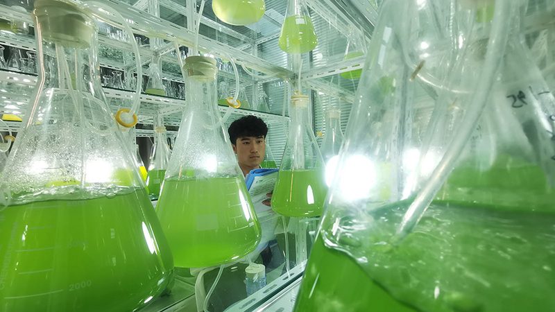 实验室耗材存放不当，一纸整改单让项目停摆